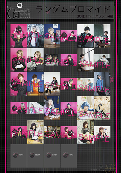 ランダムブロマイド